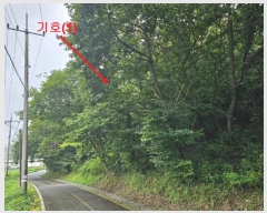  2024Ÿ��4419 ��� ���� ����� ���и� ��74-10      ����(�Ӿ�)���