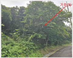  2024Ÿ��4419 ��� ���� ����� ���и� ��74-10      ����(�Ӿ�)���