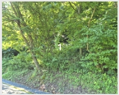  2024Ÿ��4419 ��� ���� ����� ���и� ��74-10      ����(�Ӿ�)���