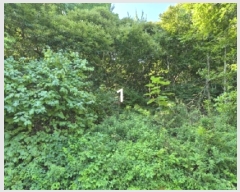  2024Ÿ��4419 ��� ���� ����� ���и� ��74-10      ����(�Ӿ�)���