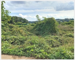  2024Ÿ��4617  �����