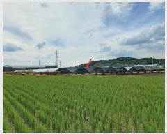  2024Ÿ��4617  �����