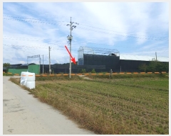  2024Ÿ��4617  �����