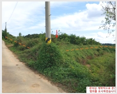  2024Ÿ��4617  �����