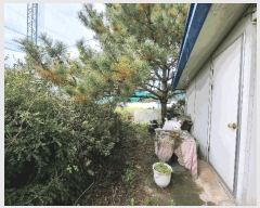  2024Ÿ��5375 ��� ��õ�� ���� ������ 600-4      ����,â�����