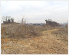  2024Ÿ��6774 ��� ��õ�� ������ ���丮 728-1      ����(��1)���