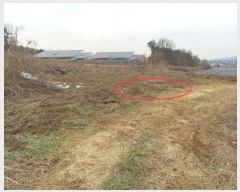  2024Ÿ��6774 ��� ��õ�� ������ ���丮 728-1      ����(��1)���