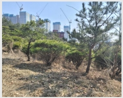  2024Ÿ��30586 ��� ��õ�� ������ ������ 148      ����(��1)���