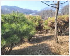  2024Ÿ��30586 ��� ��õ�� ������ ������ 148      ����(��1)���