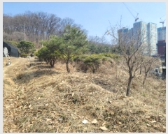  2024Ÿ��30586 ��� ��õ�� ������ ������ 148      ����(��1)���