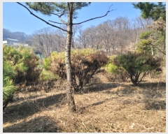  2024Ÿ��30586 ��� ��õ�� ������ ������ 148      ����(��1)���