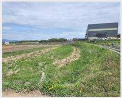  2024Ÿ32230  õ ι ״縮 90      (1)