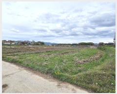  2024Ÿ32230  õ ι ״縮 90      (1)