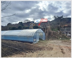  2024Ÿ��32308 ��� ���� ���ϸ� ������ 514      ���ð��