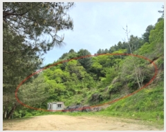  2024Ÿ32728    и 934-7      (Ӿ)