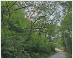  2024Ÿ32728    и 934-7      (Ӿ)