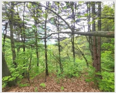  2024Ÿ32728    и 934-7      (Ӿ)