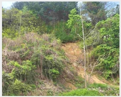  2024Ÿ32728    и 934-7      (Ӿ)