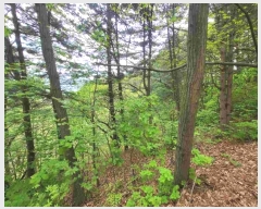  2024Ÿ32728    и 934-7      (Ӿ)