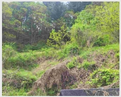  2024Ÿ32728    и 934-7      (Ӿ)