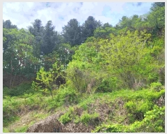  2024Ÿ32728    и 934-7      (Ӿ)