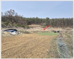  2024Ÿ��32766 ��� ���ֽ� �ϳ��� �߾ϸ� 510      ����(��1)���