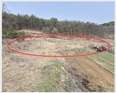  2024Ÿ��32766 ��� ���ֽ� �ϳ��� �߾ϸ� 510      ����(��1)���