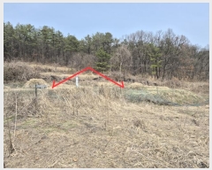  2024Ÿ��32766 ��� ���ֽ� �ϳ��� �߾ϸ� 510      ����(��1)���