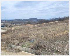  2024Ÿ32926  ֽ õ  410-7      (Ӿ)