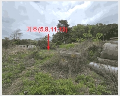  2024Ÿ��33264  ����