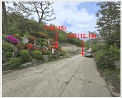  2024Ÿ��33264  ����