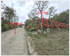  2024Ÿ��33264  ����