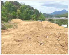  2024Ÿ��33264  ����