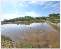  2024Ÿ��33387 ��� ���ֽ� ��õ�� ���߸� 540-1      ����(��)���