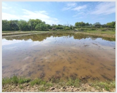  2024Ÿ��33387 ��� ���ֽ� ��õ�� ���߸� 540-1      ����(��)���