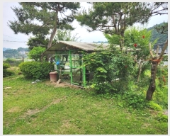  2024Ÿ��33684  ���ð��