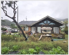  2024Ÿ��33684  ���ð��