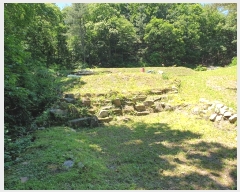  2024Ÿ��33783 ��� ���ֽ� �ϳ��� �߾ϸ� 278      ����(��1)���