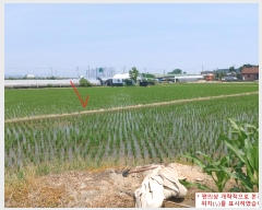  2024Ÿ��34793  ����