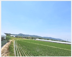  2024Ÿ��34793  ����