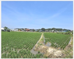  2024Ÿ��34793  ����