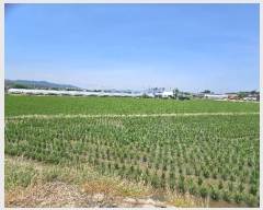  2024Ÿ��34793  ����