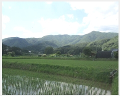  2024Ÿ��34847  �����