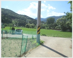  2024Ÿ��34847  �����