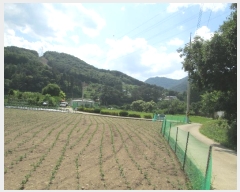  2024Ÿ��34847  �����