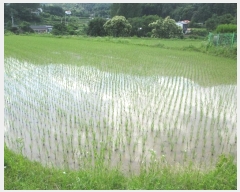  2024Ÿ��34847  �����