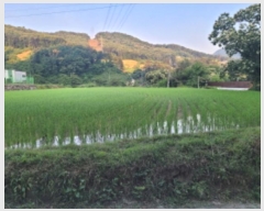  2024Ÿ��34847  �����