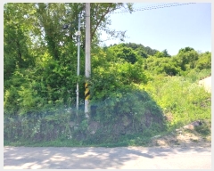  2024Ÿ��35000 ��� ���� ������ ���踮 76      ����(��)���