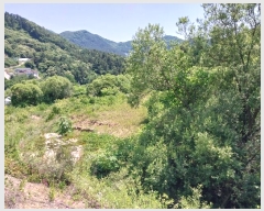  2024Ÿ��35000 ��� ���� ������ ���踮 76      ����(��)���