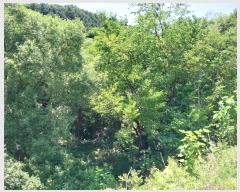  2024Ÿ��35000 ��� ���� ������ ���踮 76      ����(��)���